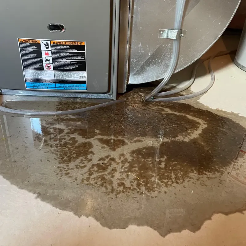 Appliance Leak Cleanup in Farley, KY