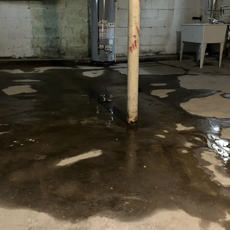 Emergency Water Extraction And Removal in Farley, KY